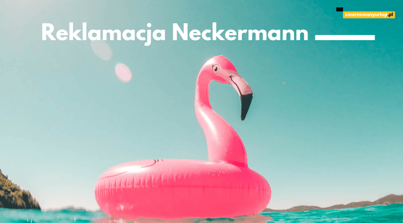 obrazek na którym widać różowego dmuchanego flaminga nawiązuje do aktualnej oferty neckermann polska